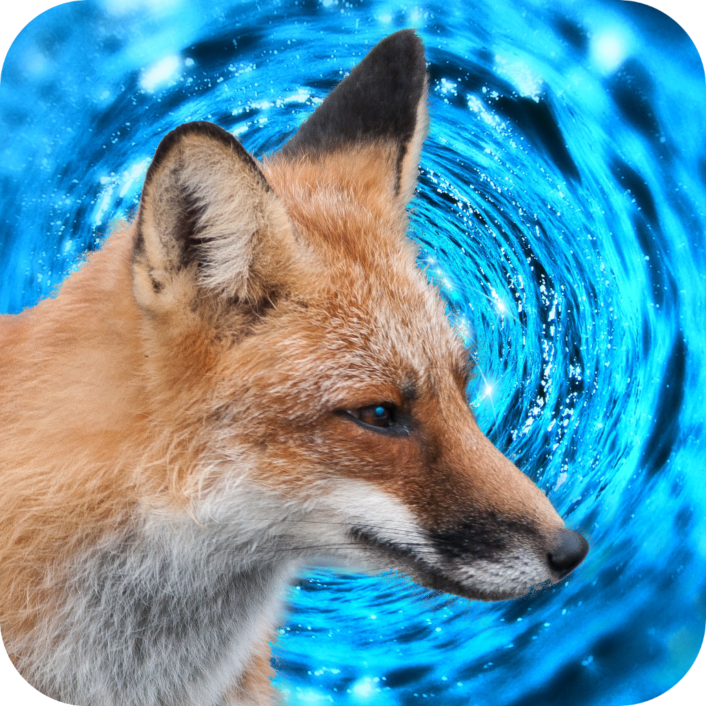 Aqua Fox Software Main Image